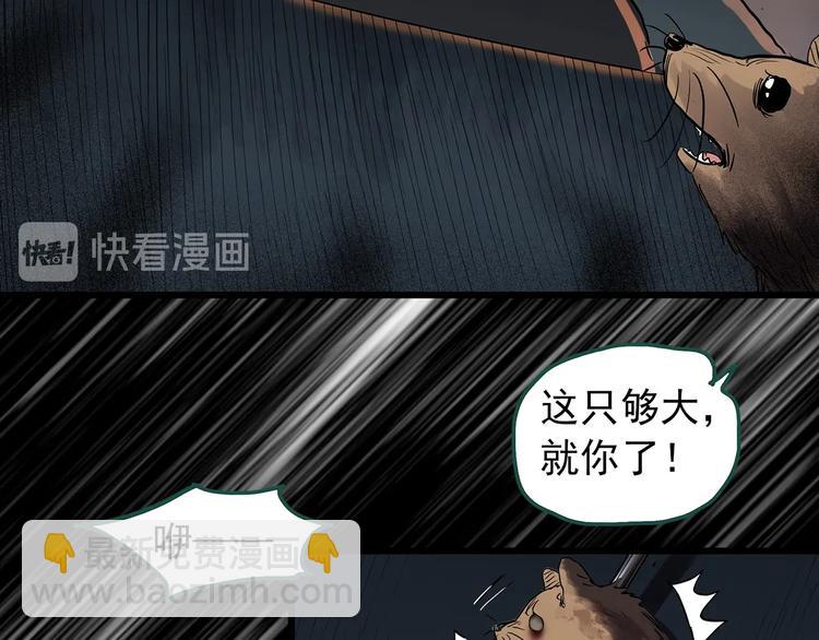 🍸怪奇实录 第271话   貂皮大衣  下 第29页