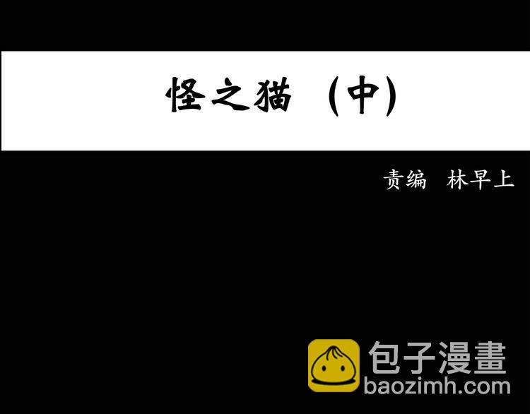 🍸怪奇实录 第29话 怪之猫(中) 第3页