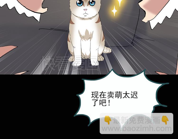 🍸怪奇实录 第29话 怪之猫(中) 第32页