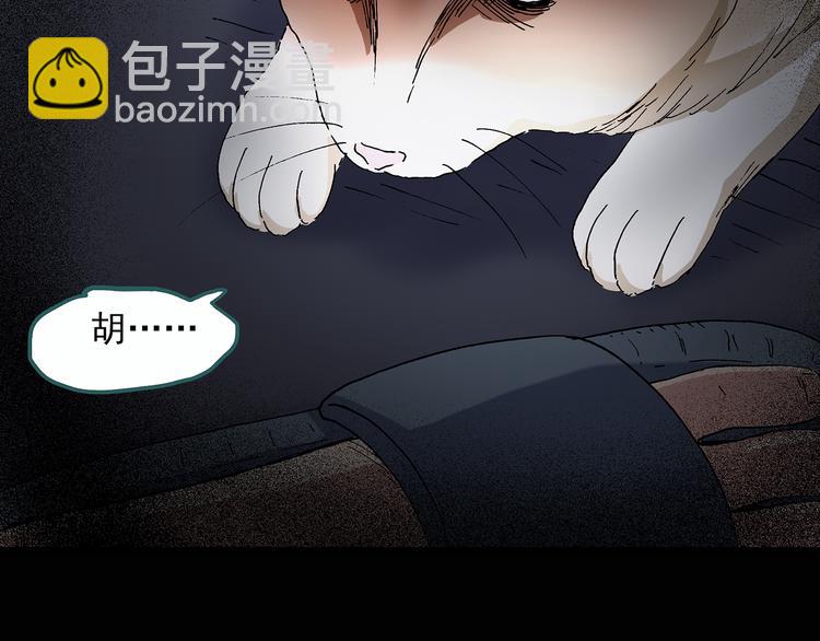 🍸怪奇实录 第29话 怪之猫(中) 第43页