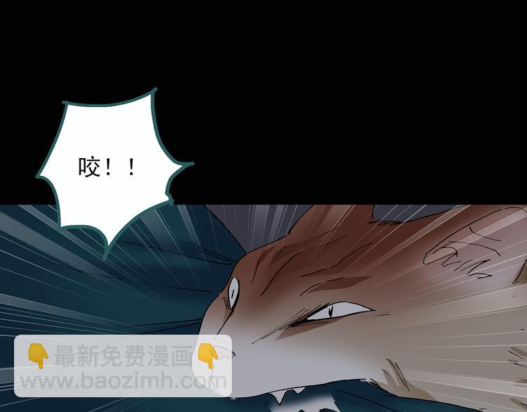 🍸怪奇实录 第29话 怪之猫(中) 第44页