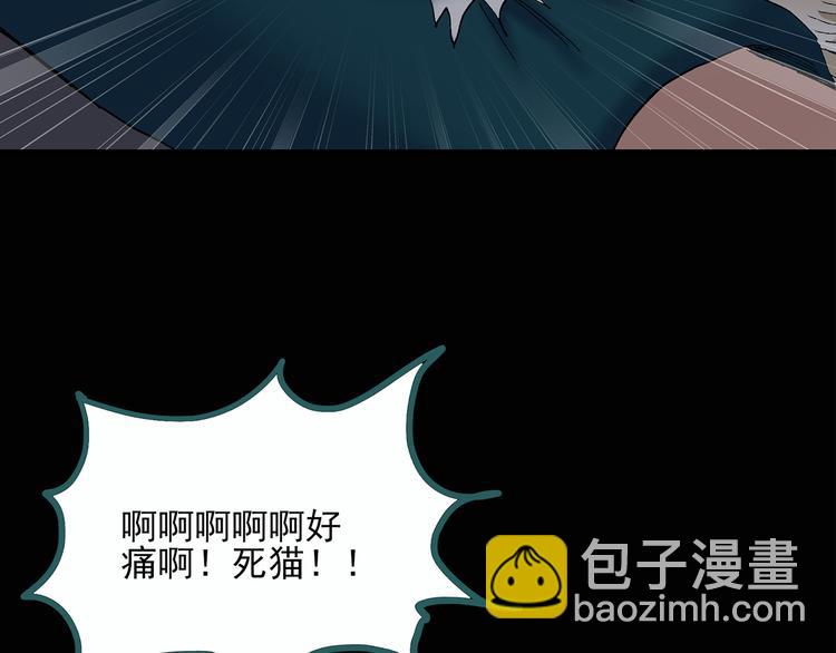 🍸怪奇实录 第29话 怪之猫(中) 第45页