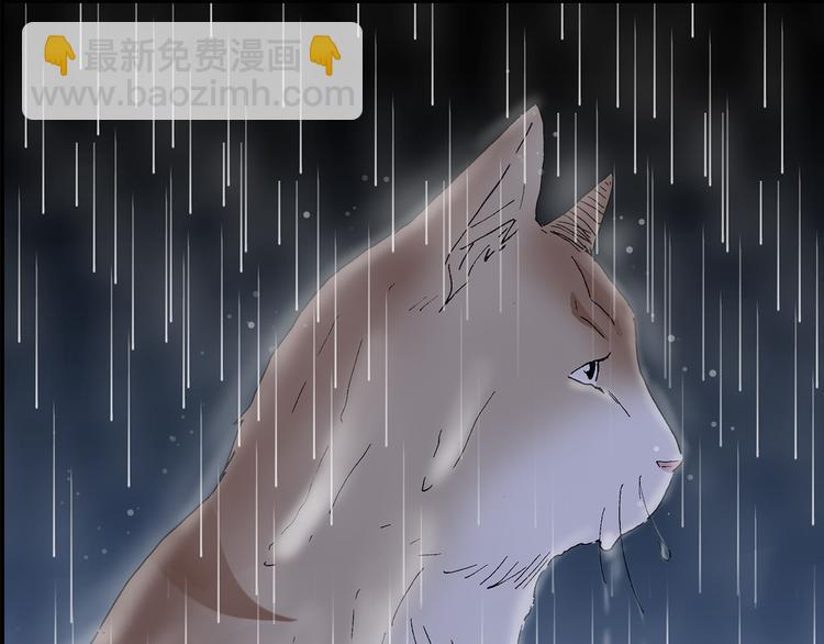 🍸怪奇实录 第31话  怪之猫（下） 第11页