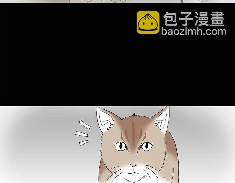 🍸怪奇实录 第31话  怪之猫（下） 第22页