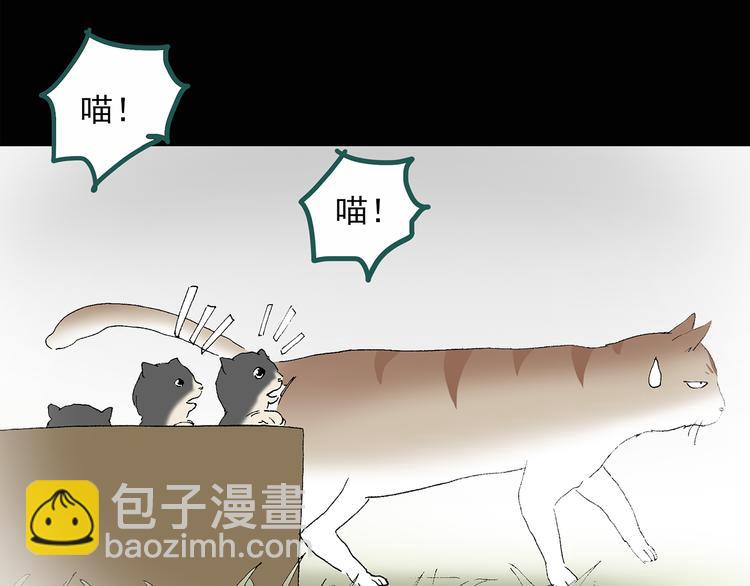 🍸怪奇实录 第31话  怪之猫（下） 第25页
