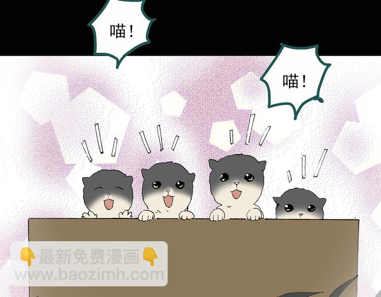 🍸怪奇实录 第31话  怪之猫（下） 第28页