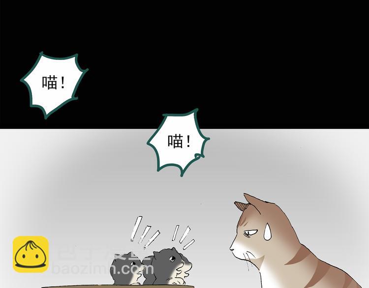 🍸怪奇实录 第31话  怪之猫（下） 第38页