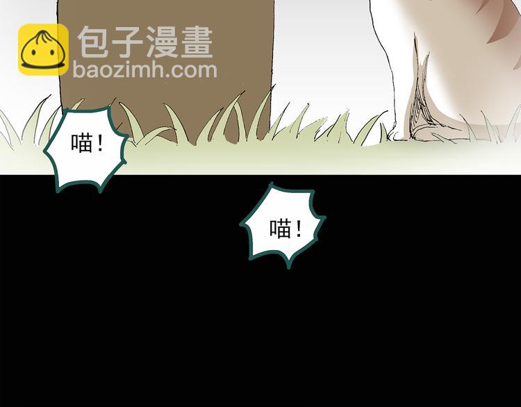 🍸怪奇实录 第31话  怪之猫（下） 第39页