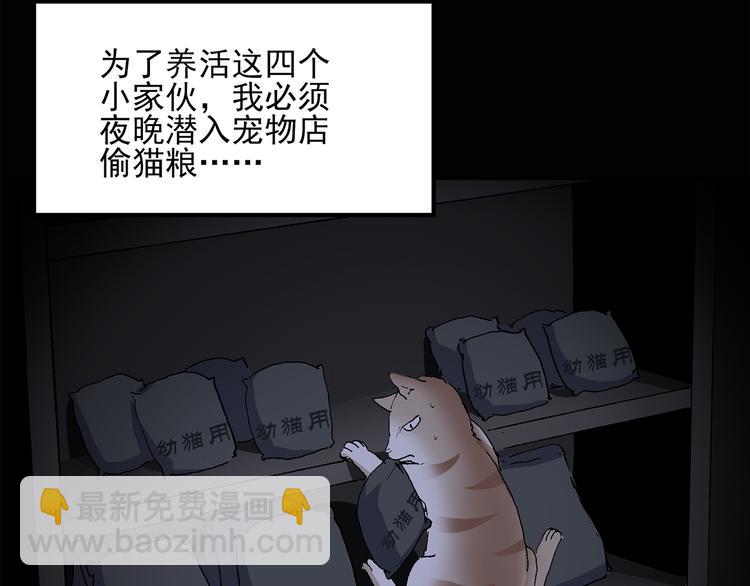 🍸怪奇实录 第31话  怪之猫（下） 第40页