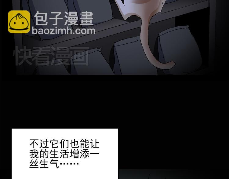 🍸怪奇实录 第31话  怪之猫（下） 第41页