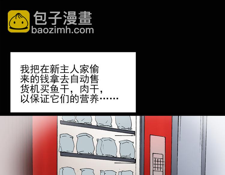 🍸怪奇实录 第31话  怪之猫（下） 第43页