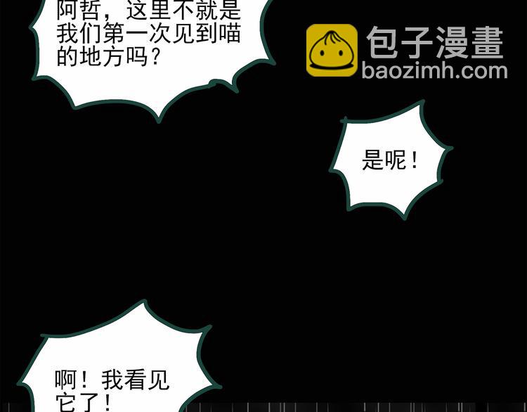 🍸怪奇实录 第31话  怪之猫（下） 第6页