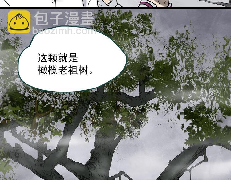 🍸怪奇实录 第331话 贞节橄榄树（下） 第45页
