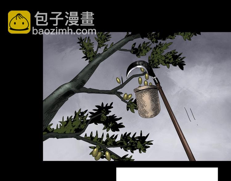 🍸怪奇实录 第331话 贞节橄榄树（下） 第49页