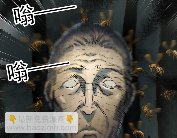 🍸怪奇实录 第335话 人头蜂巢（下） 第40页
