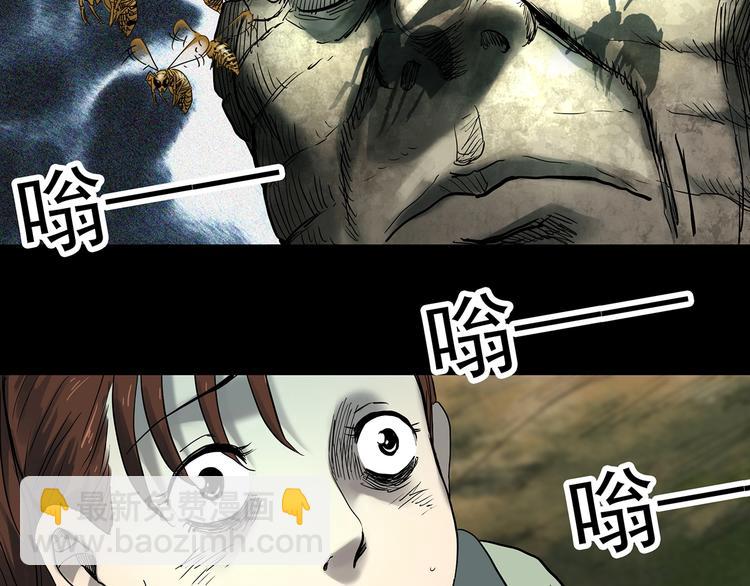 🍸怪奇实录 第335话 人头蜂巢（下） 第44页