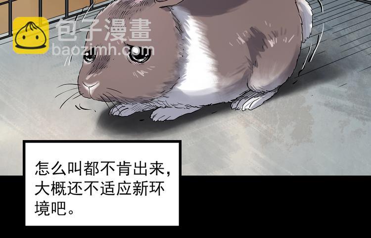 🍸怪奇实录 第357话 树上影 上 第25页