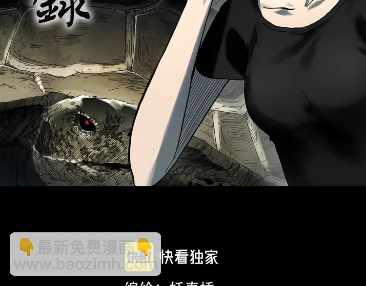 🍸怪奇实录 第375话 龟之怪谈（下） 第2页