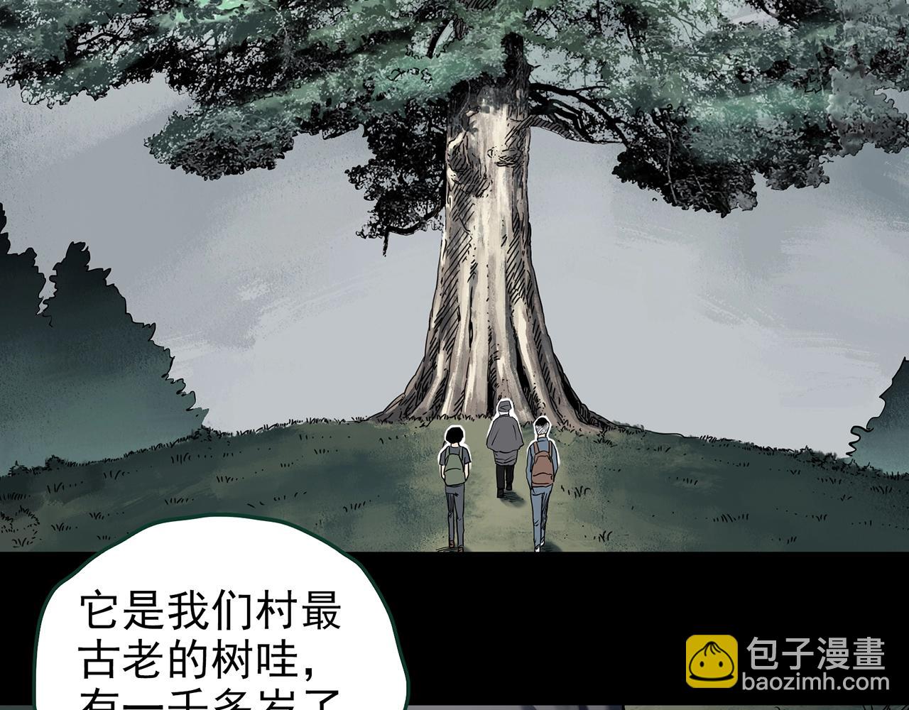 🍸怪奇实录 第427话 母亲树 第43页
