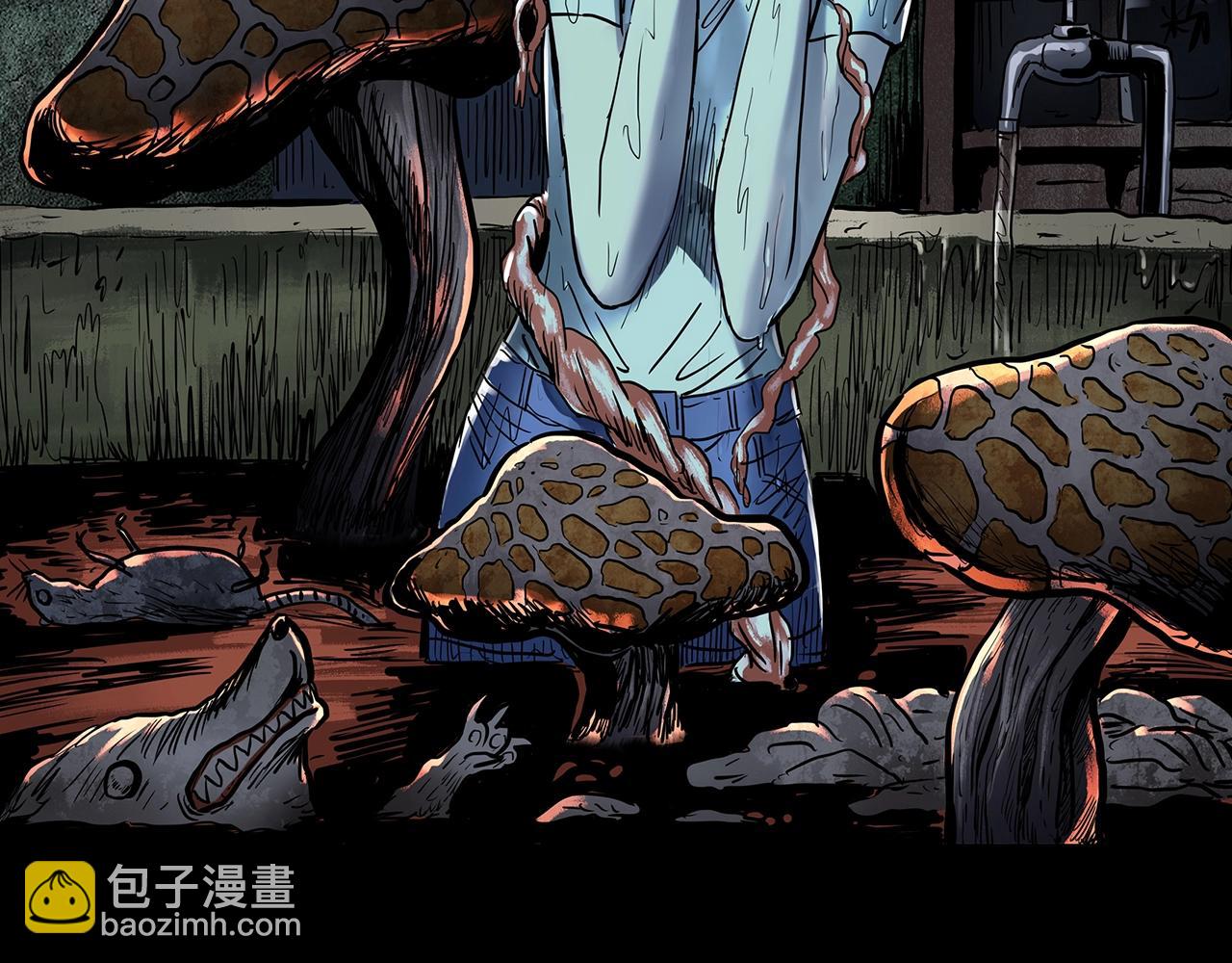 🍸怪奇实录 第443话 无头村之怪菇【上】 第2页