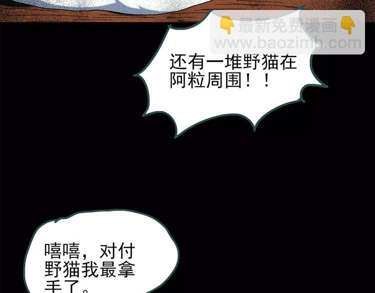 🍸怪奇实录 第71话 蛇之诅咒（三） 第17页