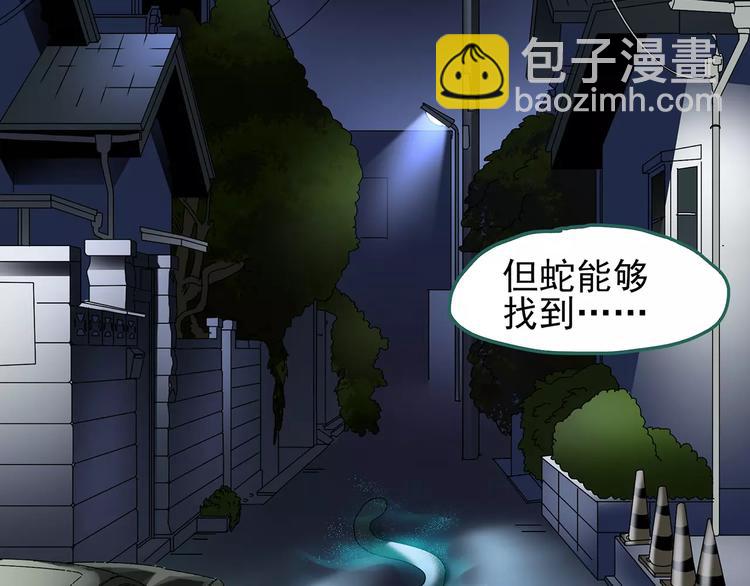 🍸怪奇实录 第83话 蛇之诅咒（终） 第44页