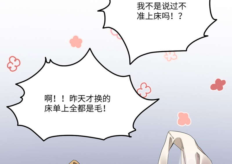 宠物食粮&middot;二(1/4)-第69话