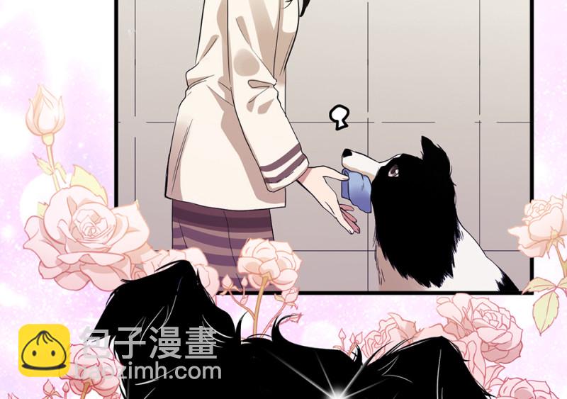 宠物食粮&middot;二(1/4)-第69话