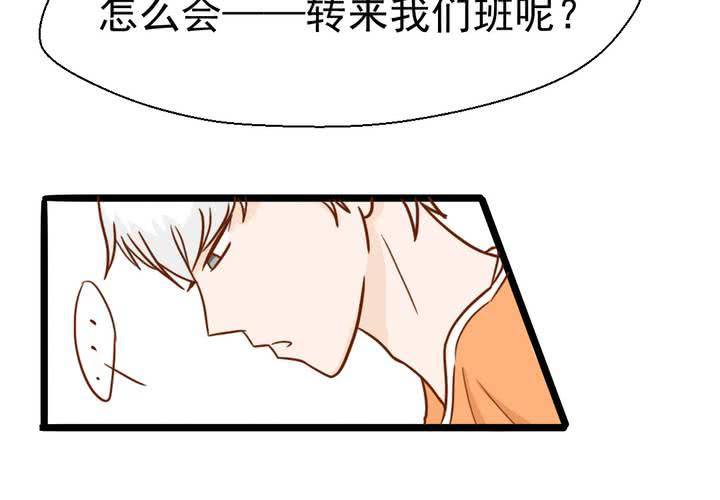 第36话    moon(1/2)-第37话