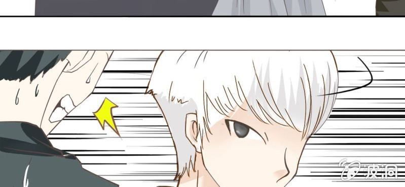 第4话    相遇总是难免的(1/3)-第5话