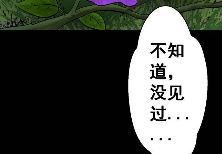 第45话 雷公花-今生（上）(1/2)-第49话