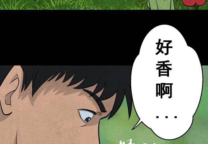 第45话 雷公花-今生（上）(1/2)-第49话