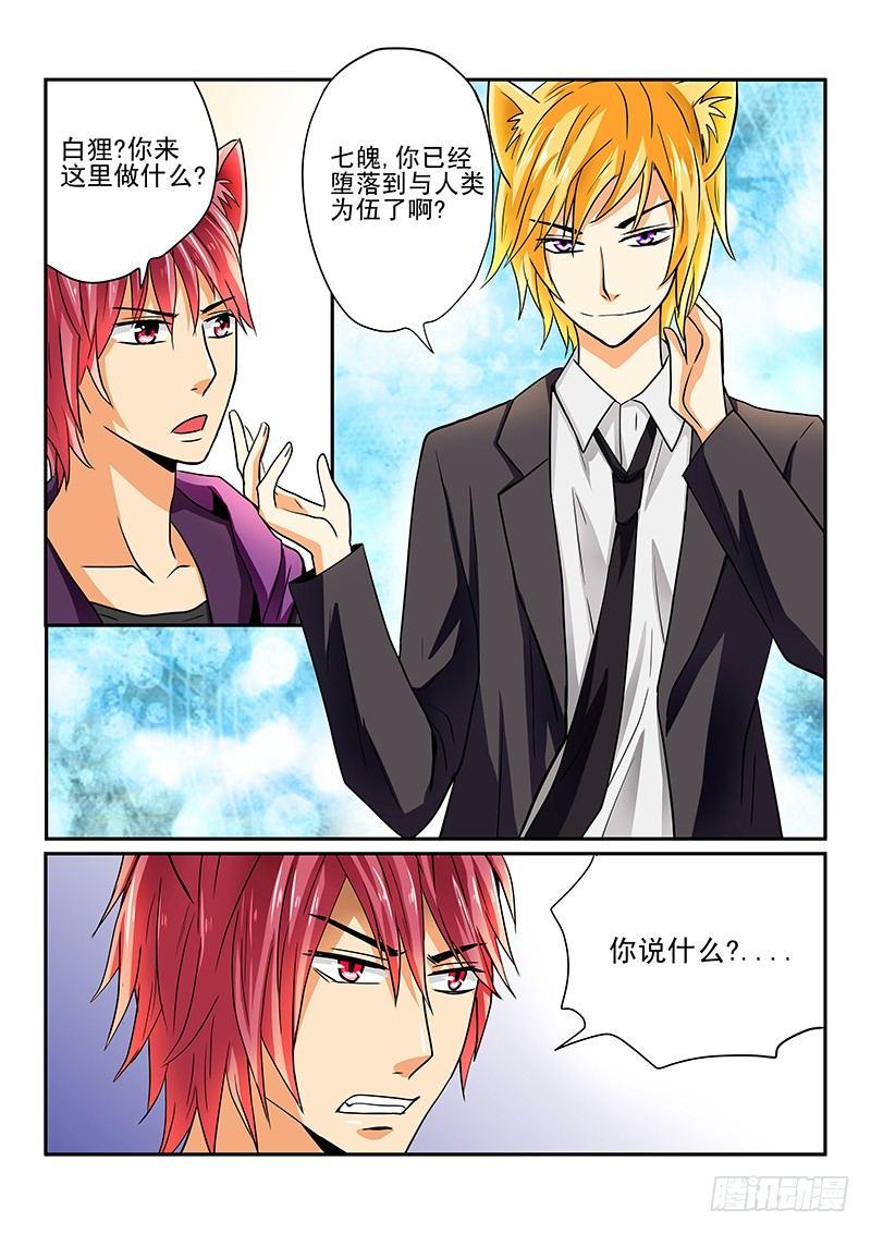第5章 白狸登场-第5话