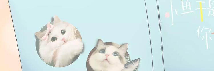 第20话 猫男的秘密(1/2)-第21话