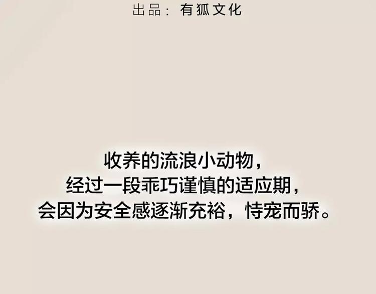 第20话 猫男的秘密(1/2)-第21话