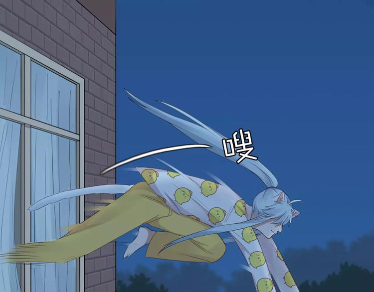 第20话 猫男的秘密(1/2)-第21话