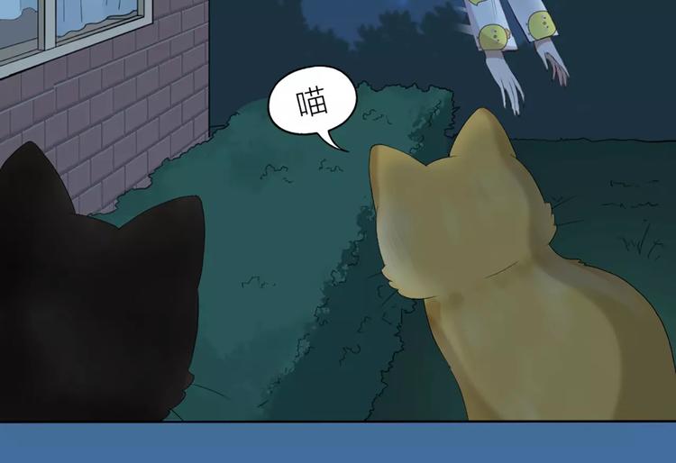 第20话 猫男的秘密(1/2)-第21话