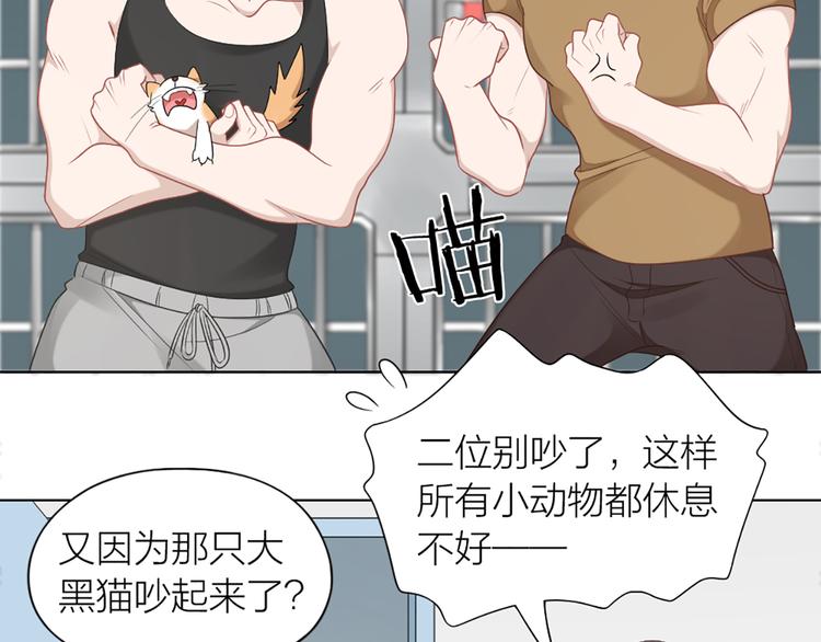 第58话 性感护工，在线撸猫(1/2)-第61话