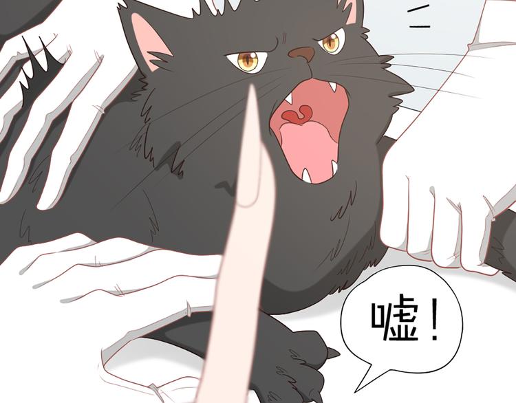 第58话 性感护工，在线撸猫(1/2)-第61话