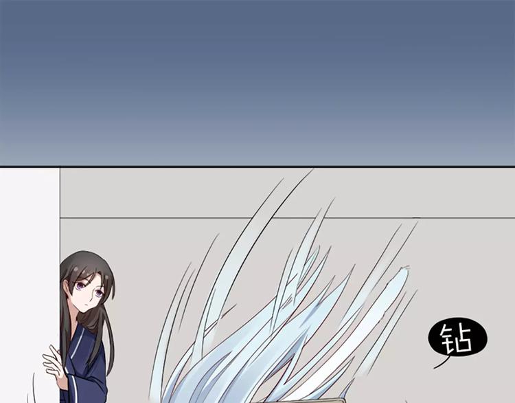第8话 我的室友是只猫(1/2)-第9话