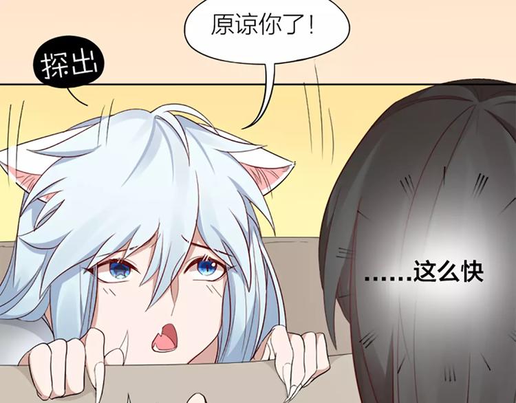 第8话 我的室友是只猫(1/2)-第9话