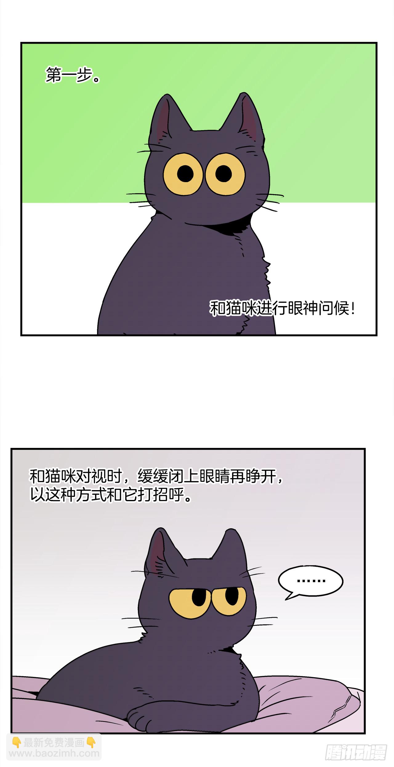 66.番外8 如何搞定猫咪-第67话