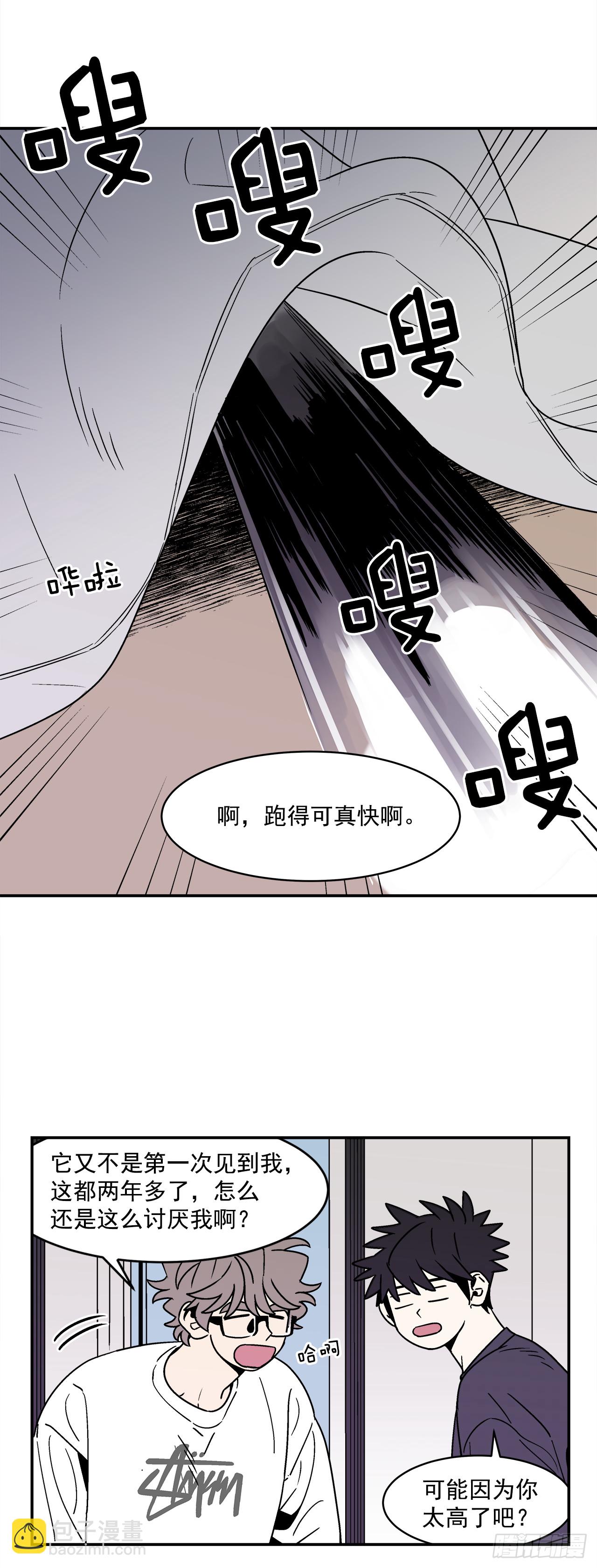 66.番外8 如何搞定猫咪-第67话