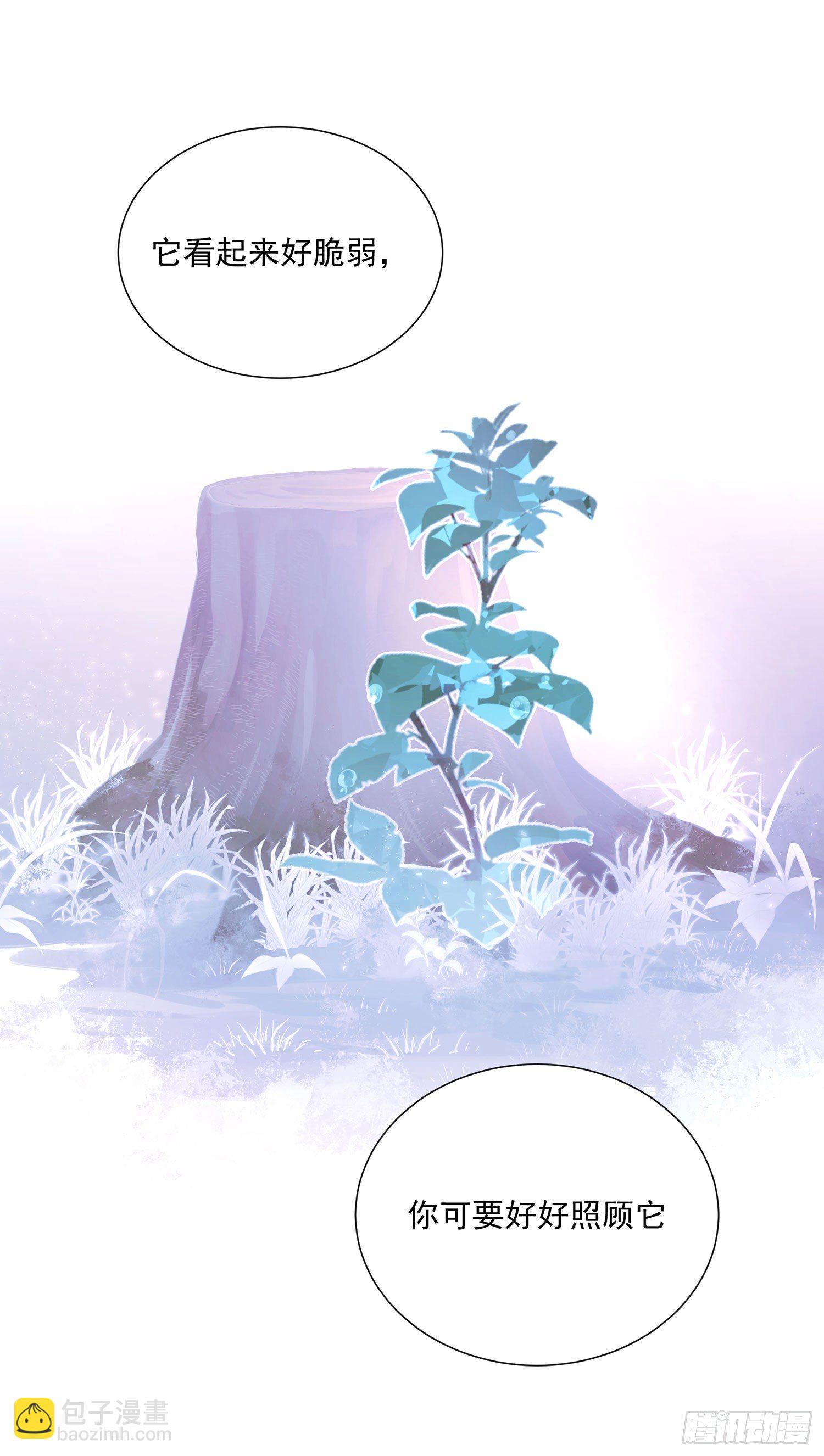 第28颗：妈妈-第35话