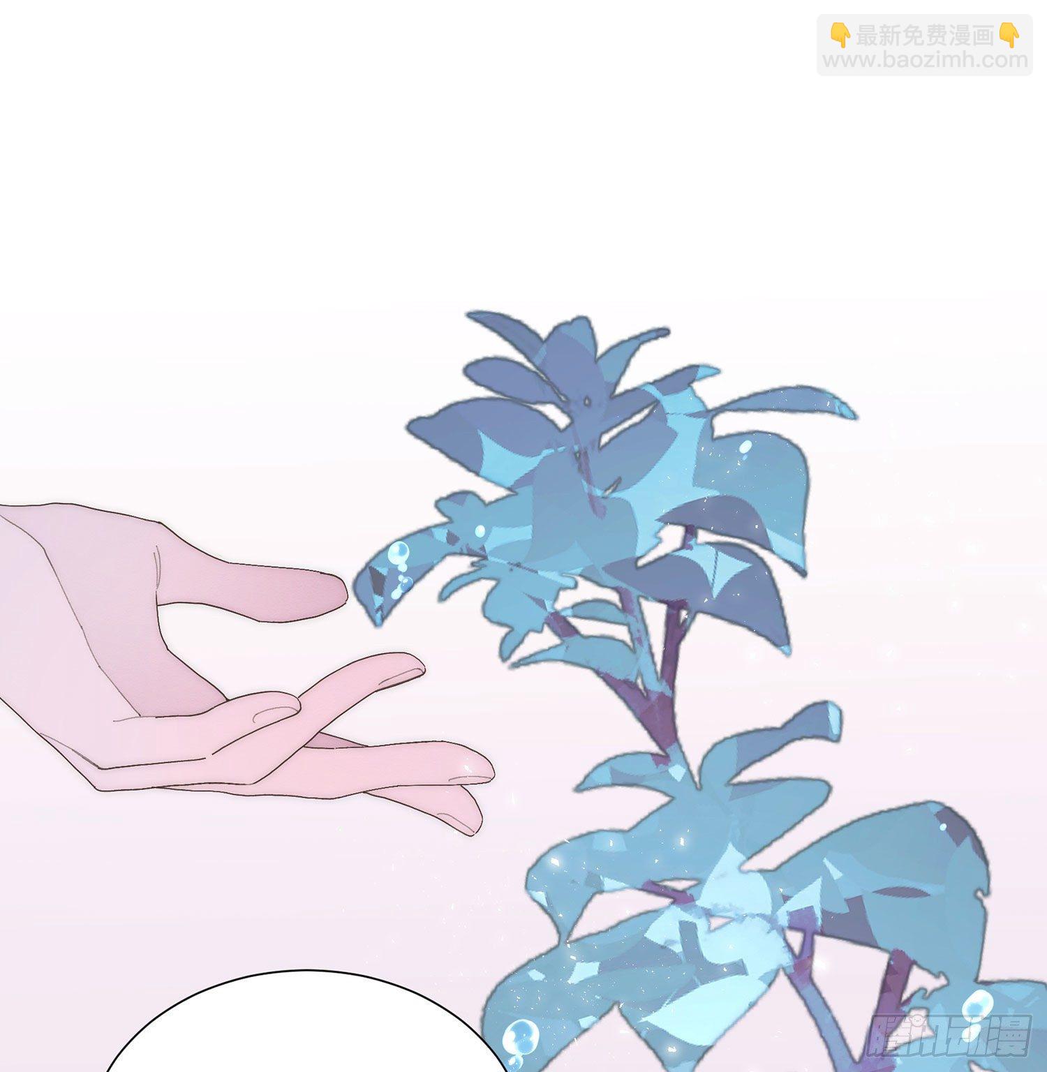 第28颗：妈妈-第35话