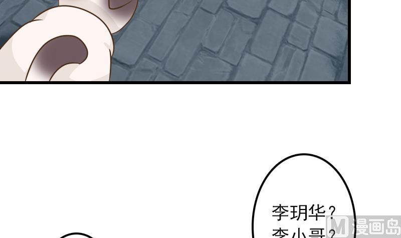 第11话 本命只爱小鱼干(1/2)-第11话