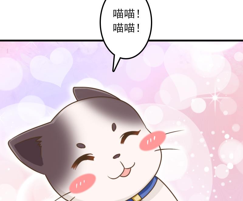 第11话 本命只爱小鱼干(1/2)-第11话