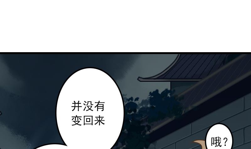第11话 本命只爱小鱼干(1/2)-第11话