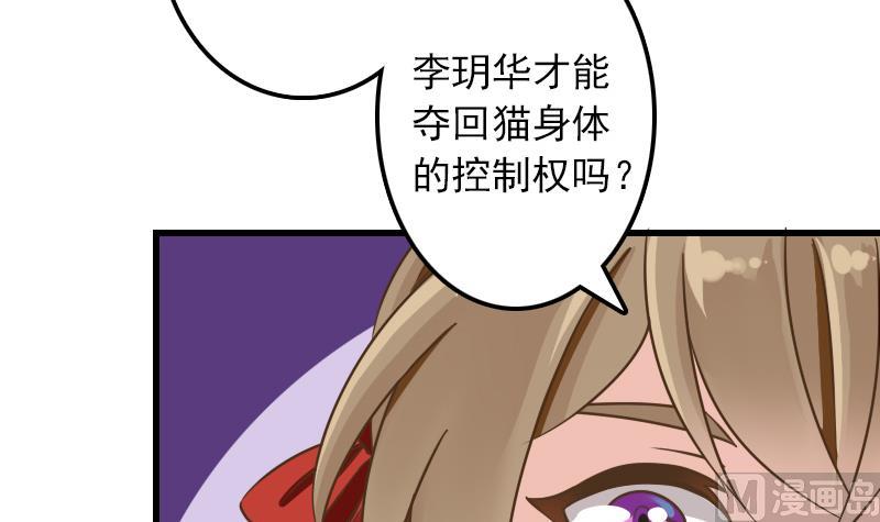 第11话 本命只爱小鱼干(1/2)-第11话