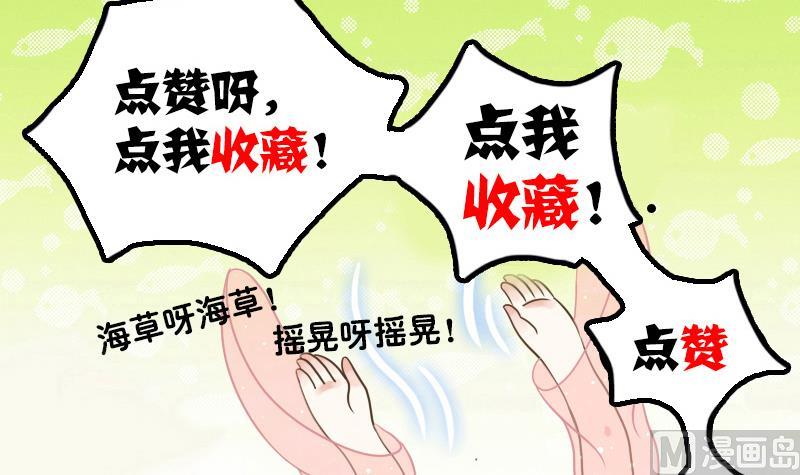 第11话 本命只爱小鱼干(1/2)-第11话
